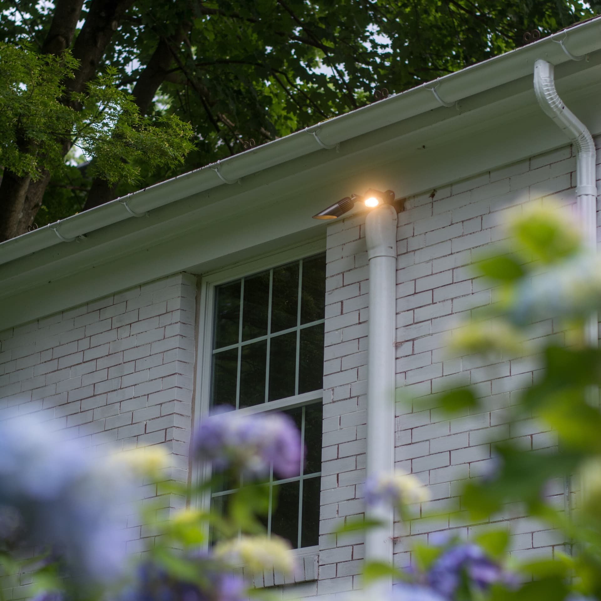Gallery photos for Backyard Lighting Project - Easton, PA: Image #1