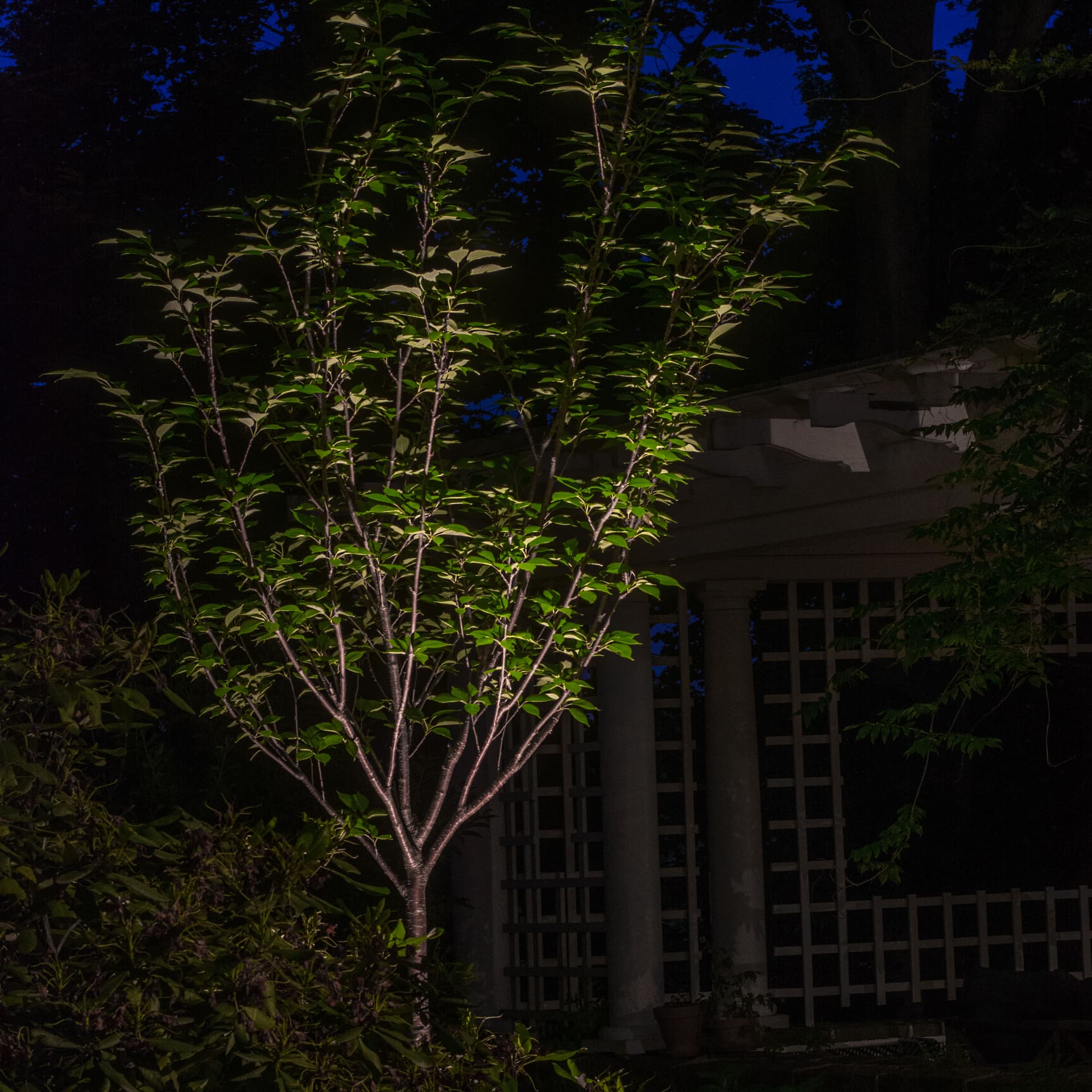 Gallery photos for Backyard Lighting Project - Easton, PA: Image #7