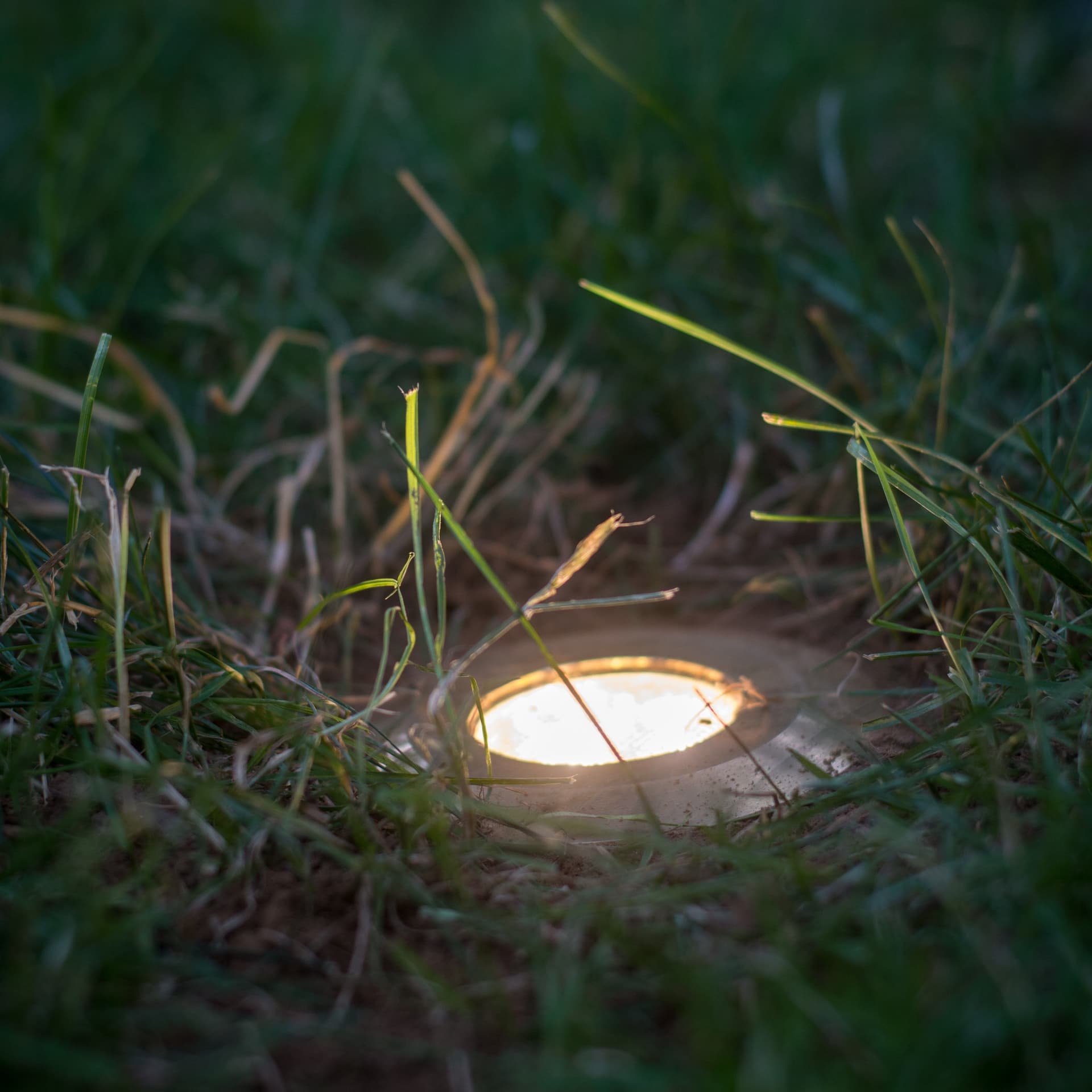Gallery photos for Backyard Lighting Project - Easton, PA: Image #4
