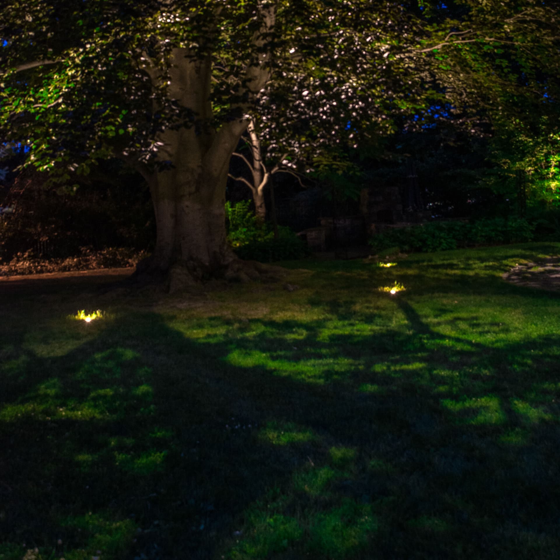 Gallery photos for Backyard Lighting Project - Easton, PA: Image #8