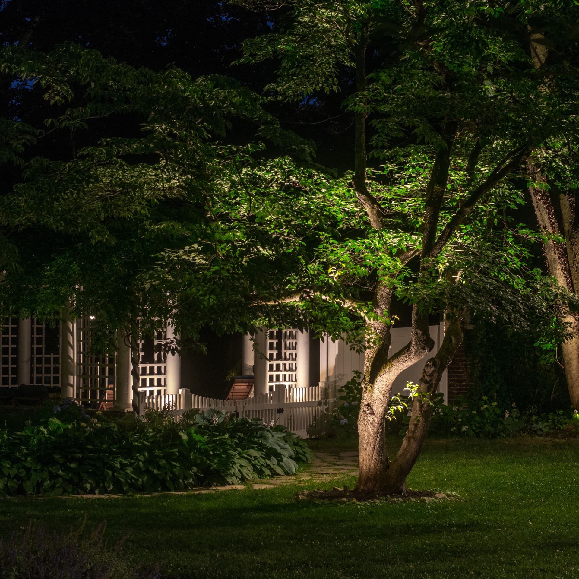 Gallery photos for Backyard Lighting Project - Easton, PA: Image #9