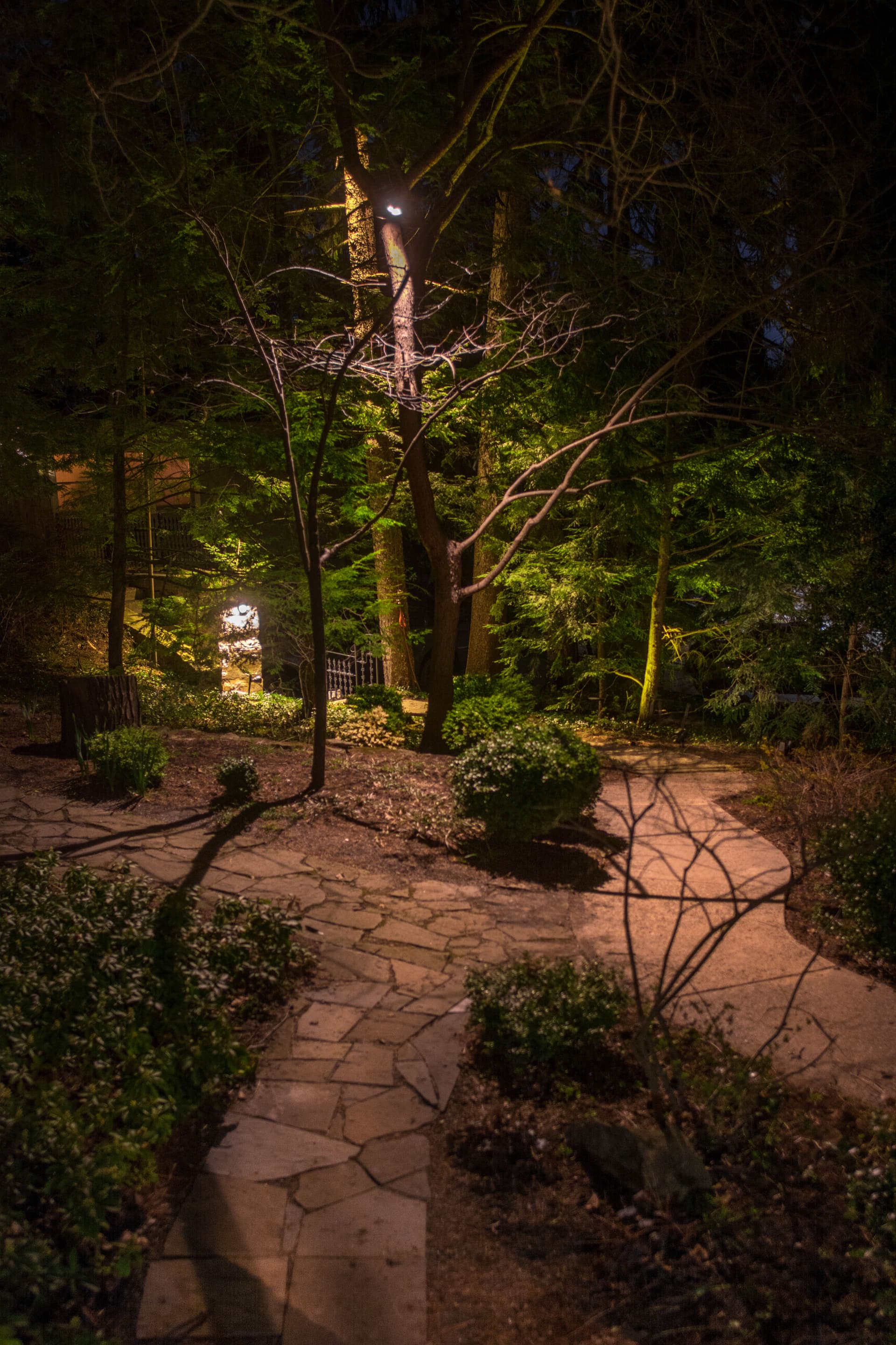 Gallery photos for Outdoor Lighting Installation and Landscape Lighting: Image #6