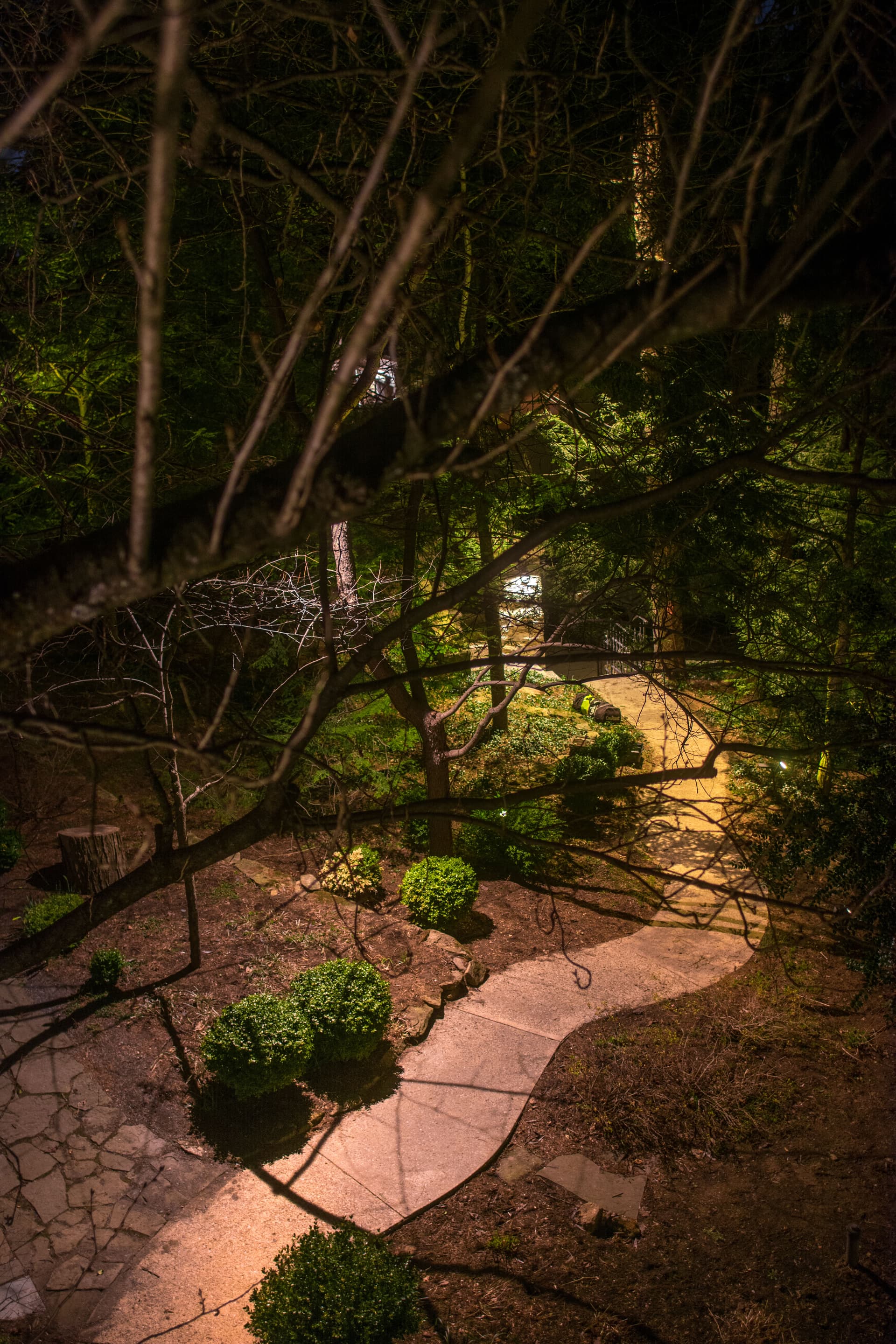 Gallery photos for Outdoor Lighting Installation and Landscape Lighting: Image #7