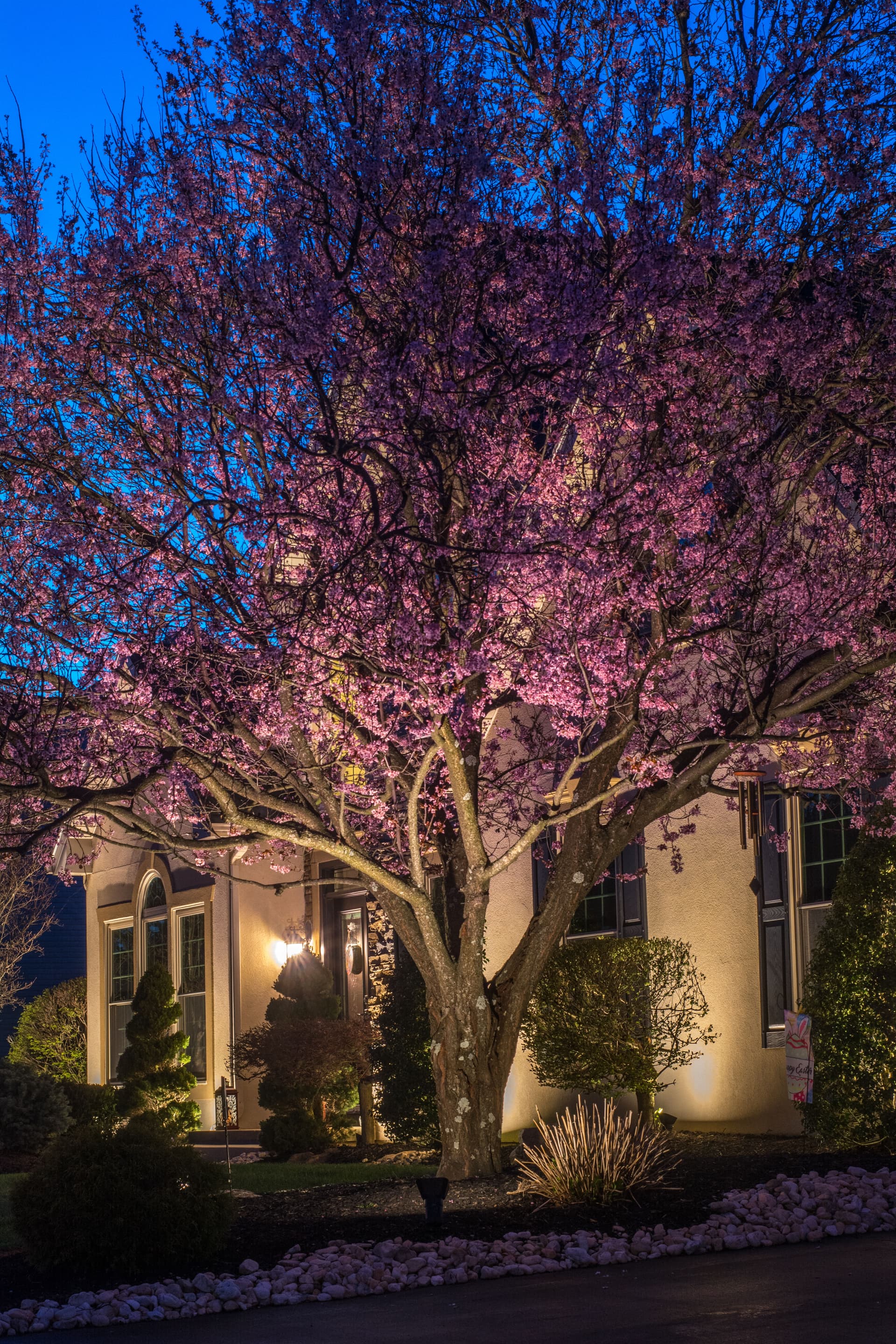 Gallery photos for Transforming an Allentown Home with Elegant Landscape Lighting: Image #1