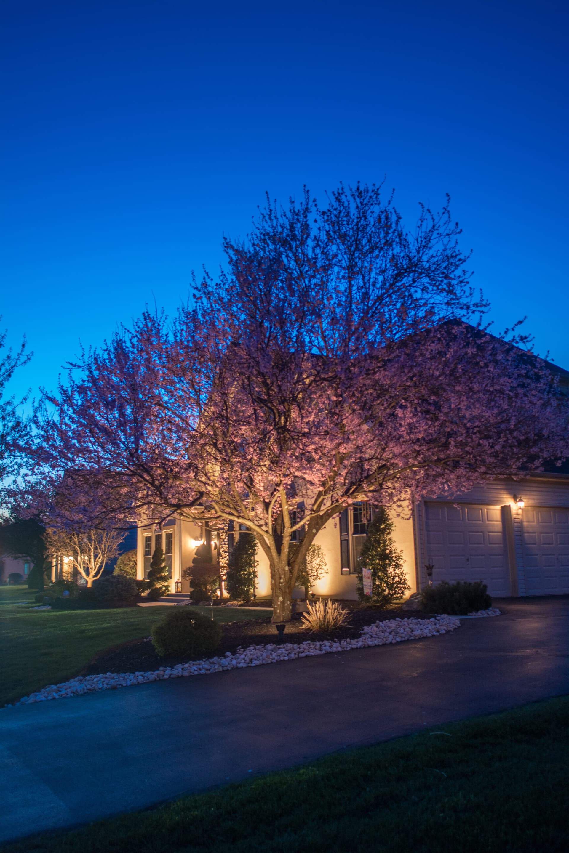 Gallery photos for Transforming an Allentown Home with Elegant Landscape Lighting: Image #2