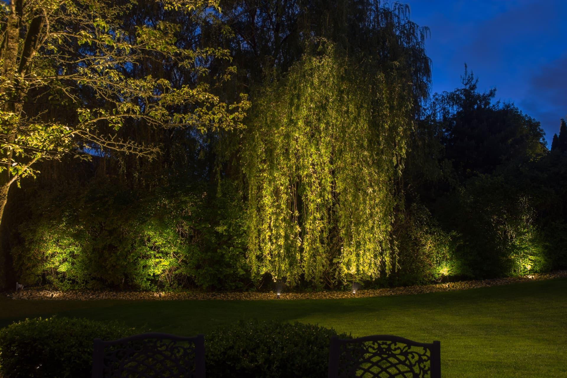 Elegant Outdoor Lighting Transformation in Easton PA image