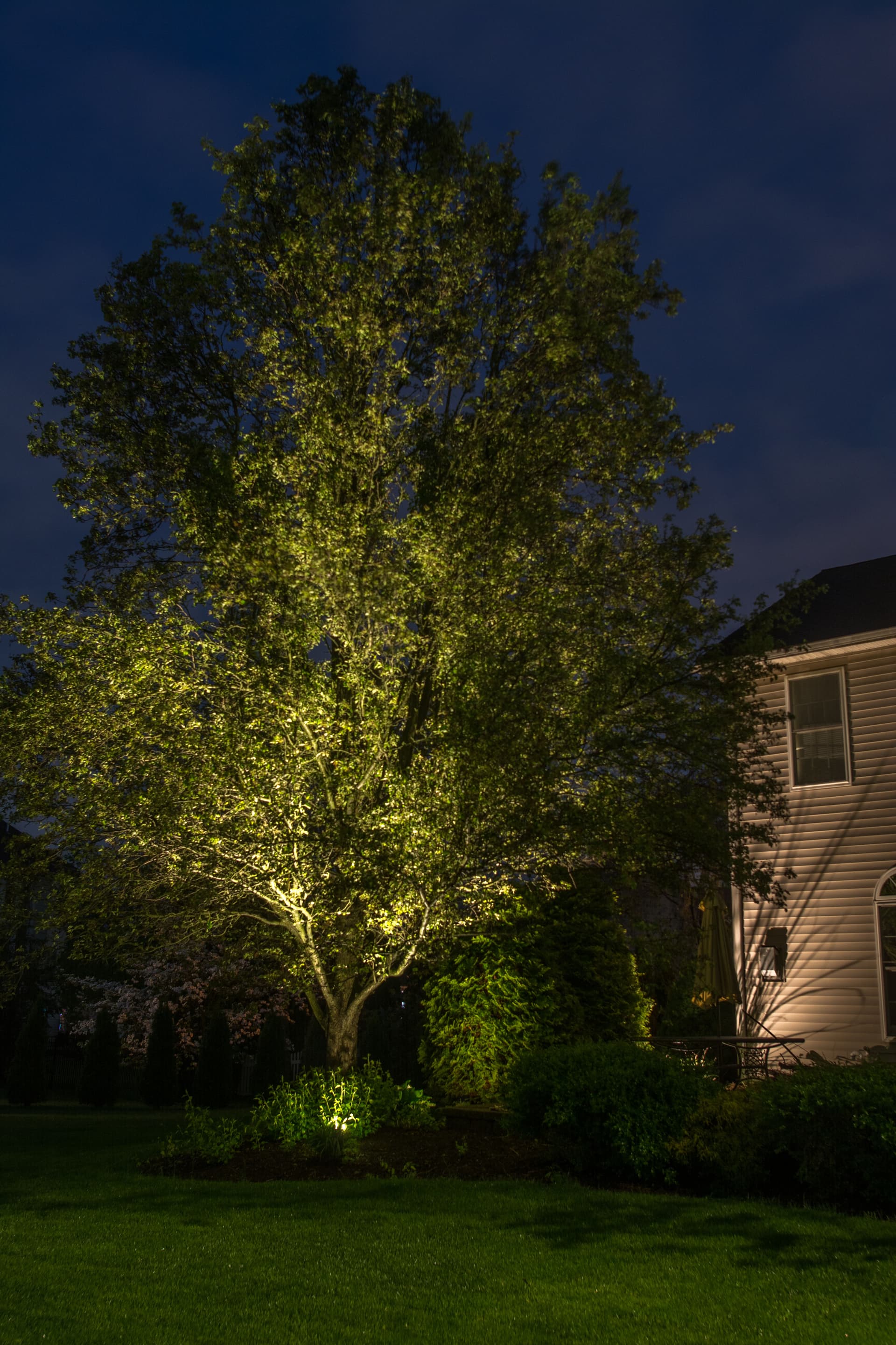 Gallery photos for Elegant Outdoor Lighting Transformation in Easton PA: Image #2