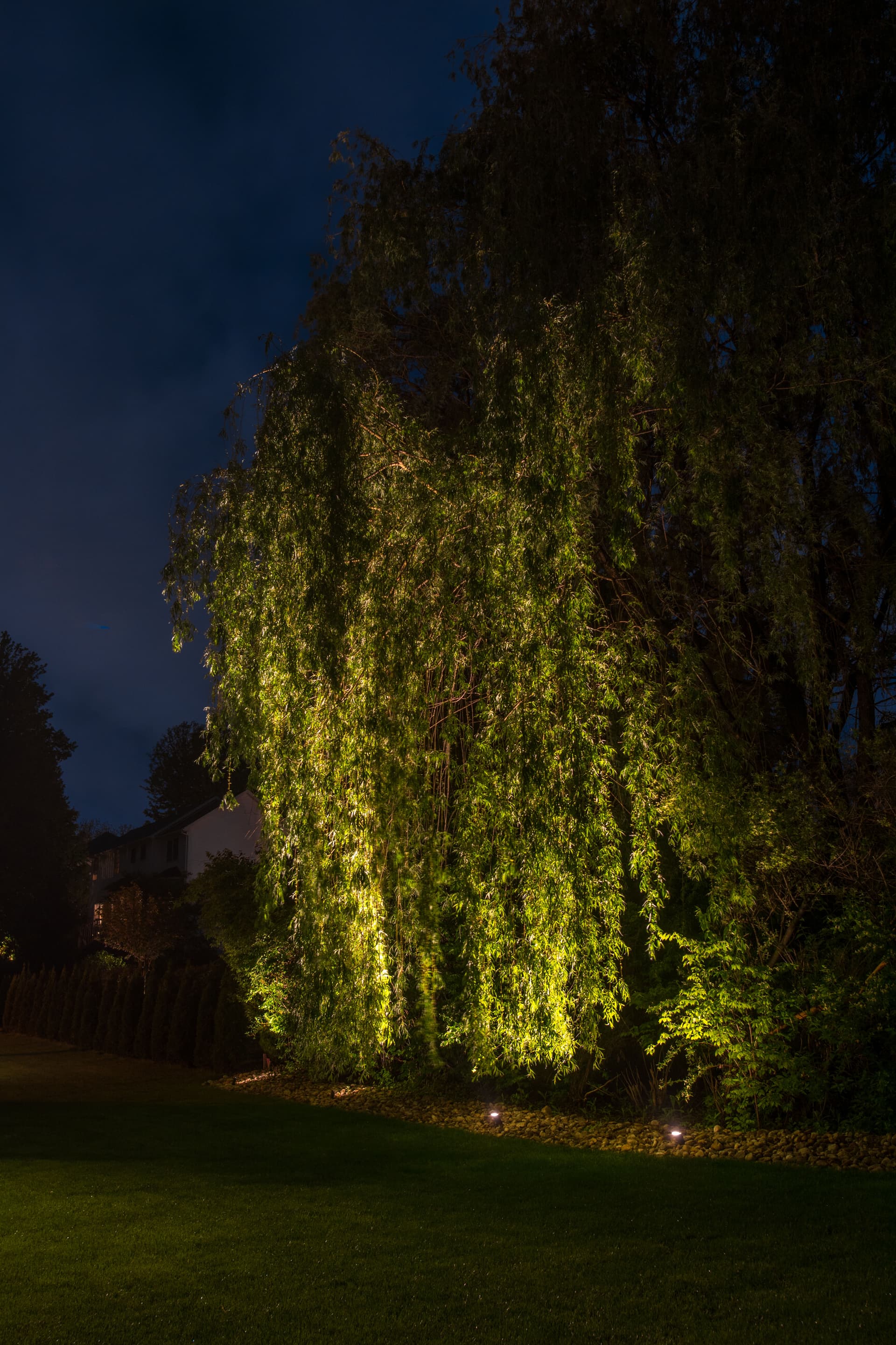 Gallery photos for Elegant Outdoor Lighting Transformation in Easton PA: Image #5