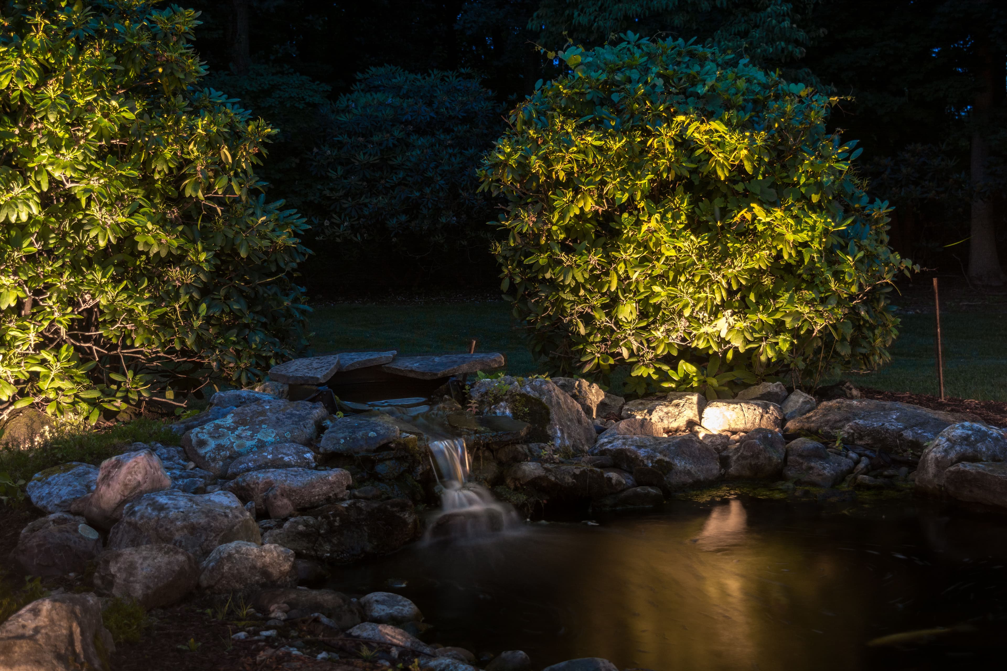 Project Backyard & Pond Lighting - Easton, PA image