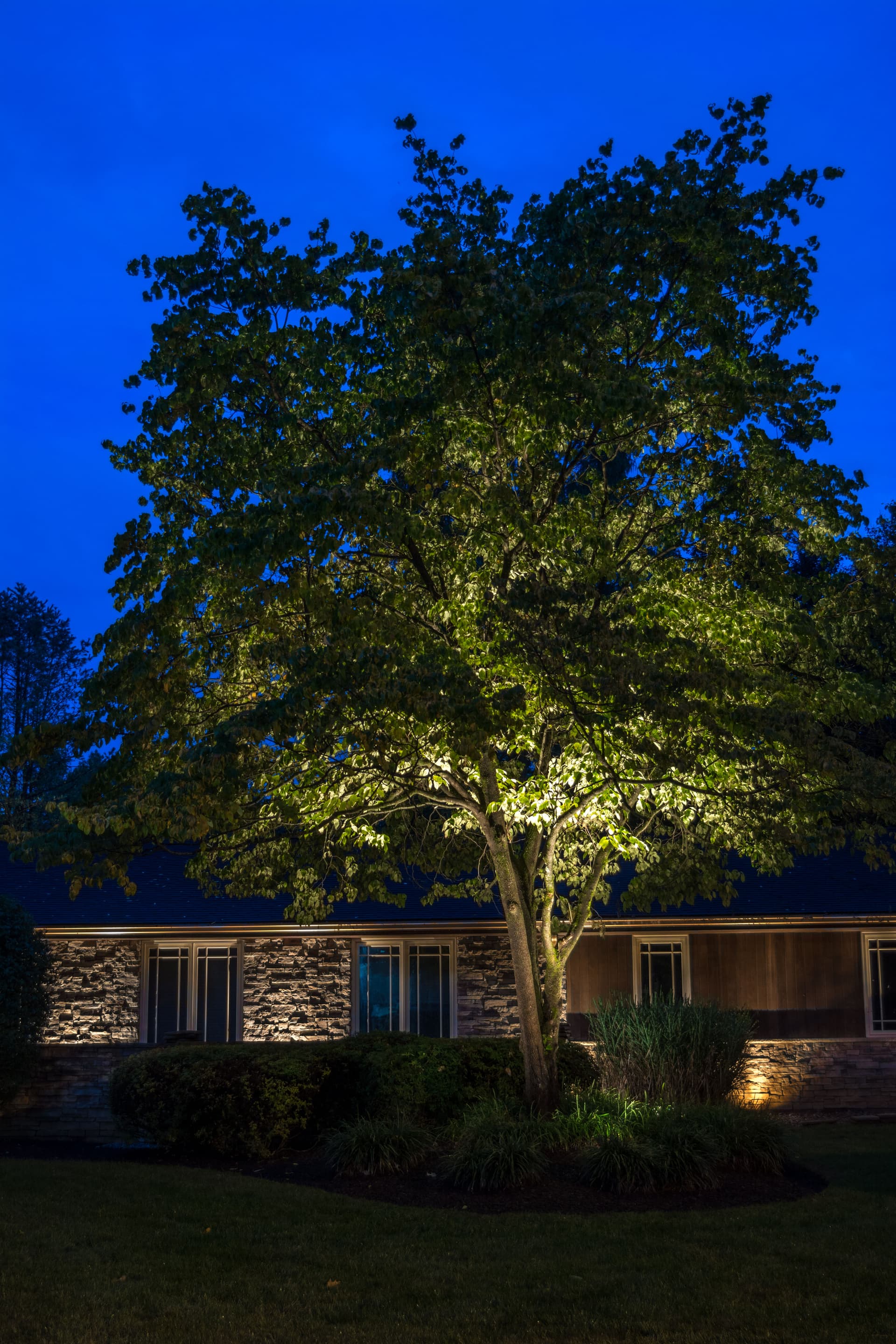 Gallery photos for Architectural & Landscape Lighting - Allentown, PA: Image #2