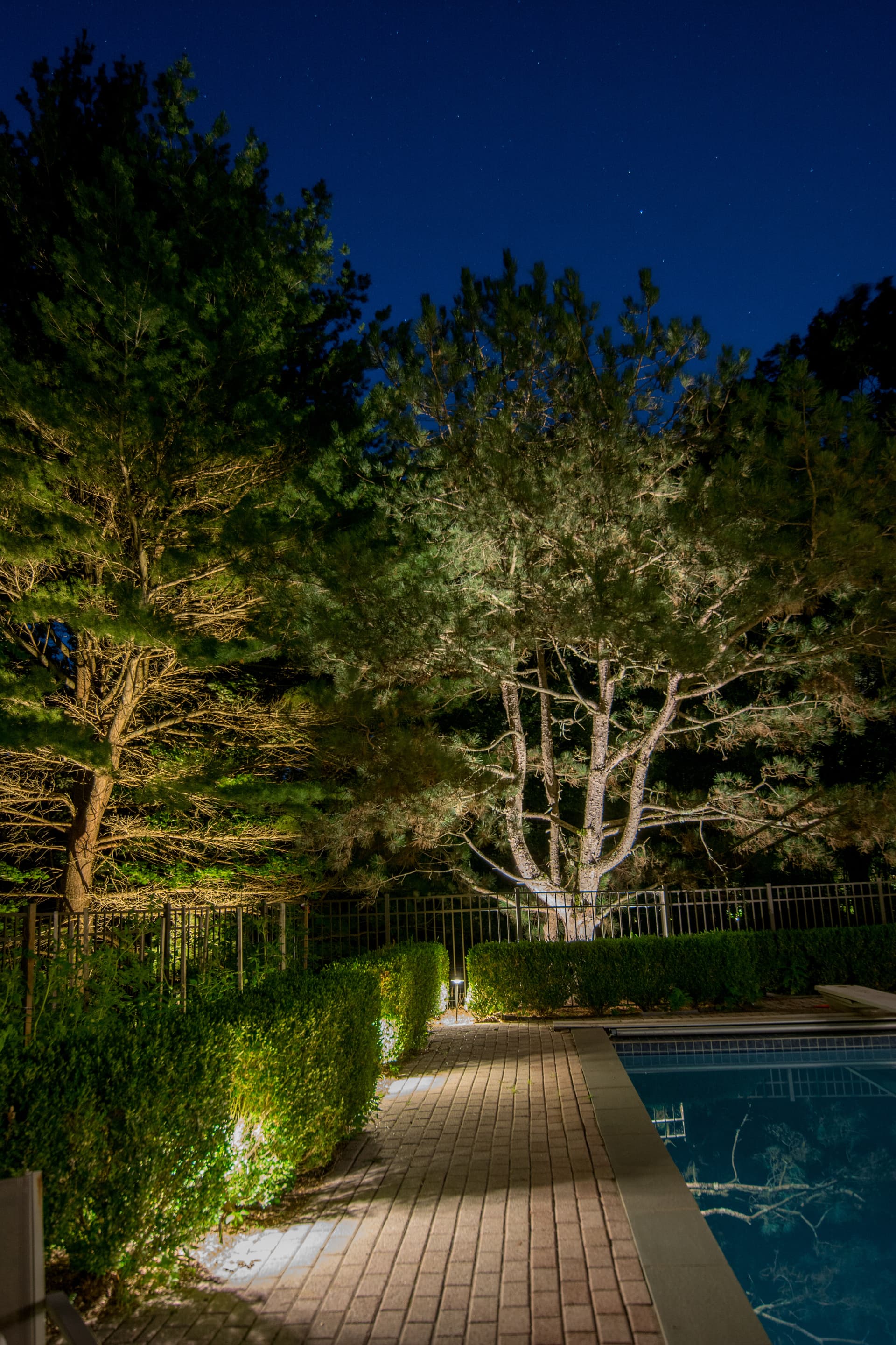 Gallery photos for Landscape Lighting in Poconos: Image #6