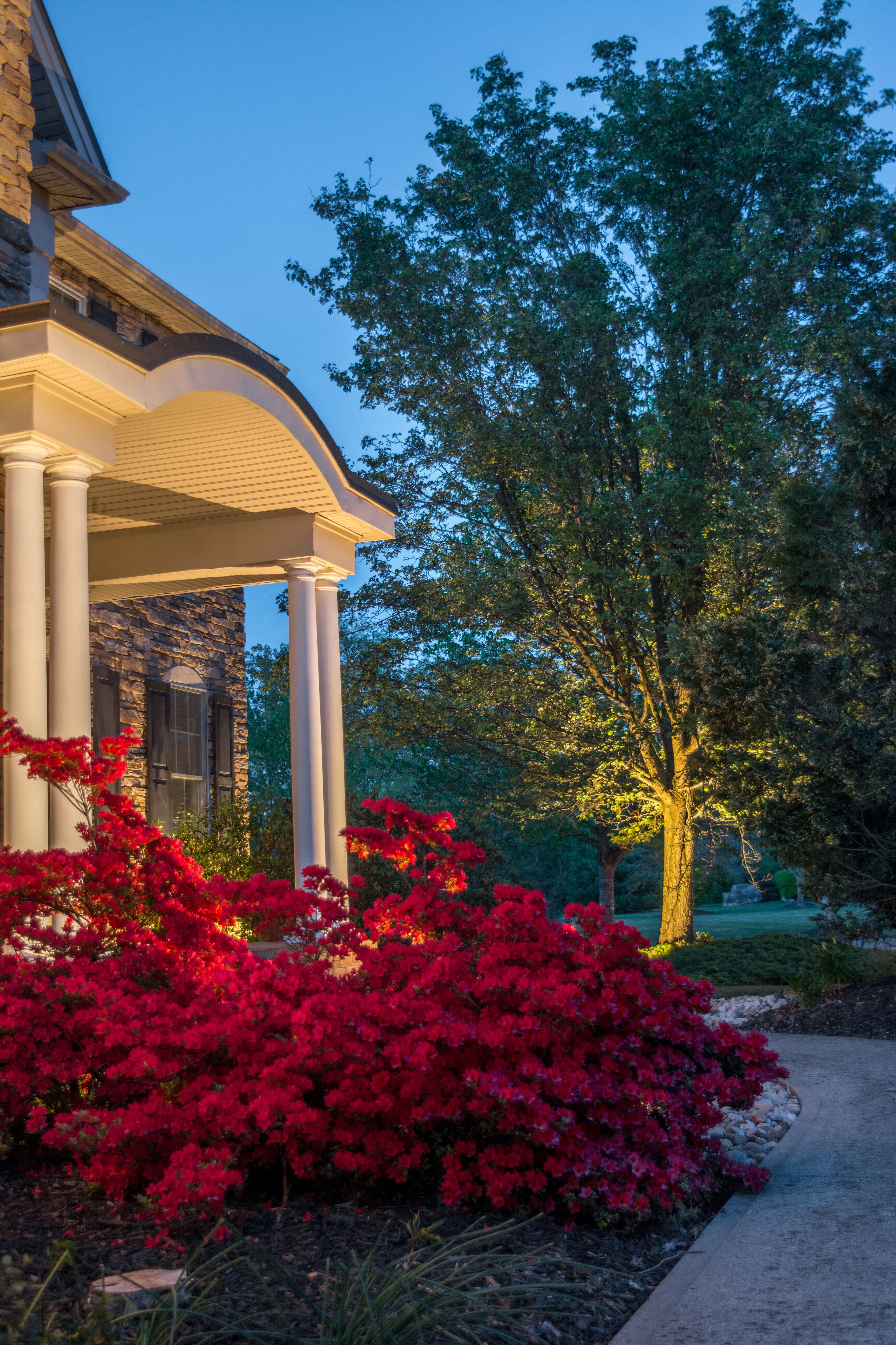 Project Landscape Lighting in Center Valley image