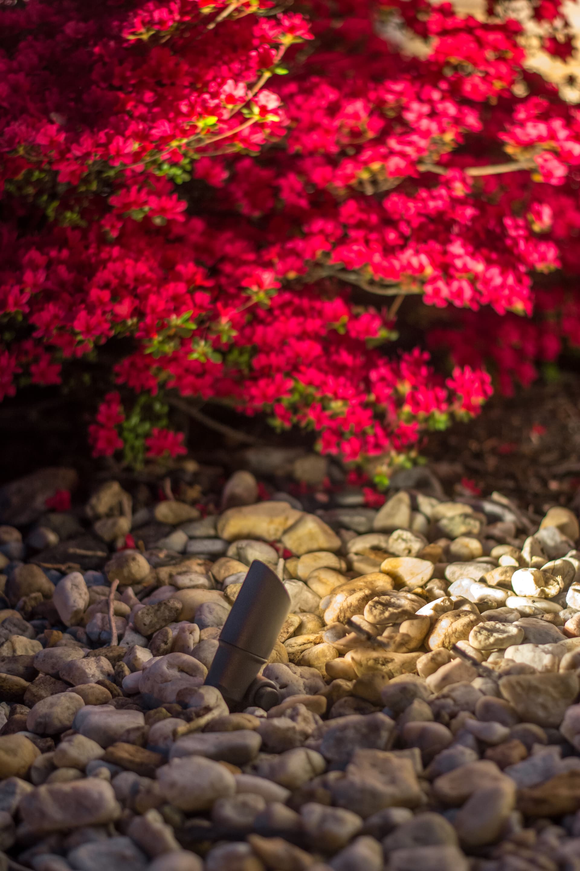 Gallery photos for Landscape Lighting in Center Valley: Image #1