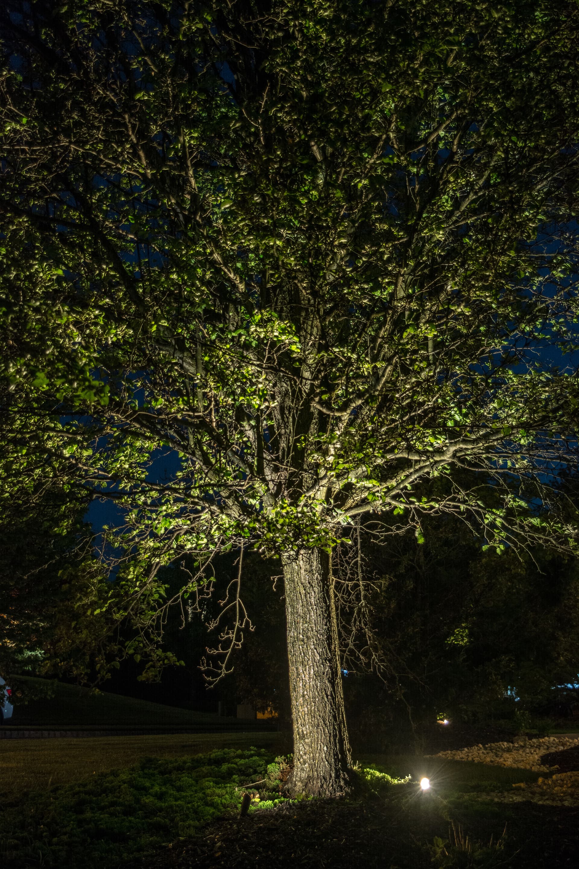 Gallery photos for Landscape Lighting in Center Valley: Image #3