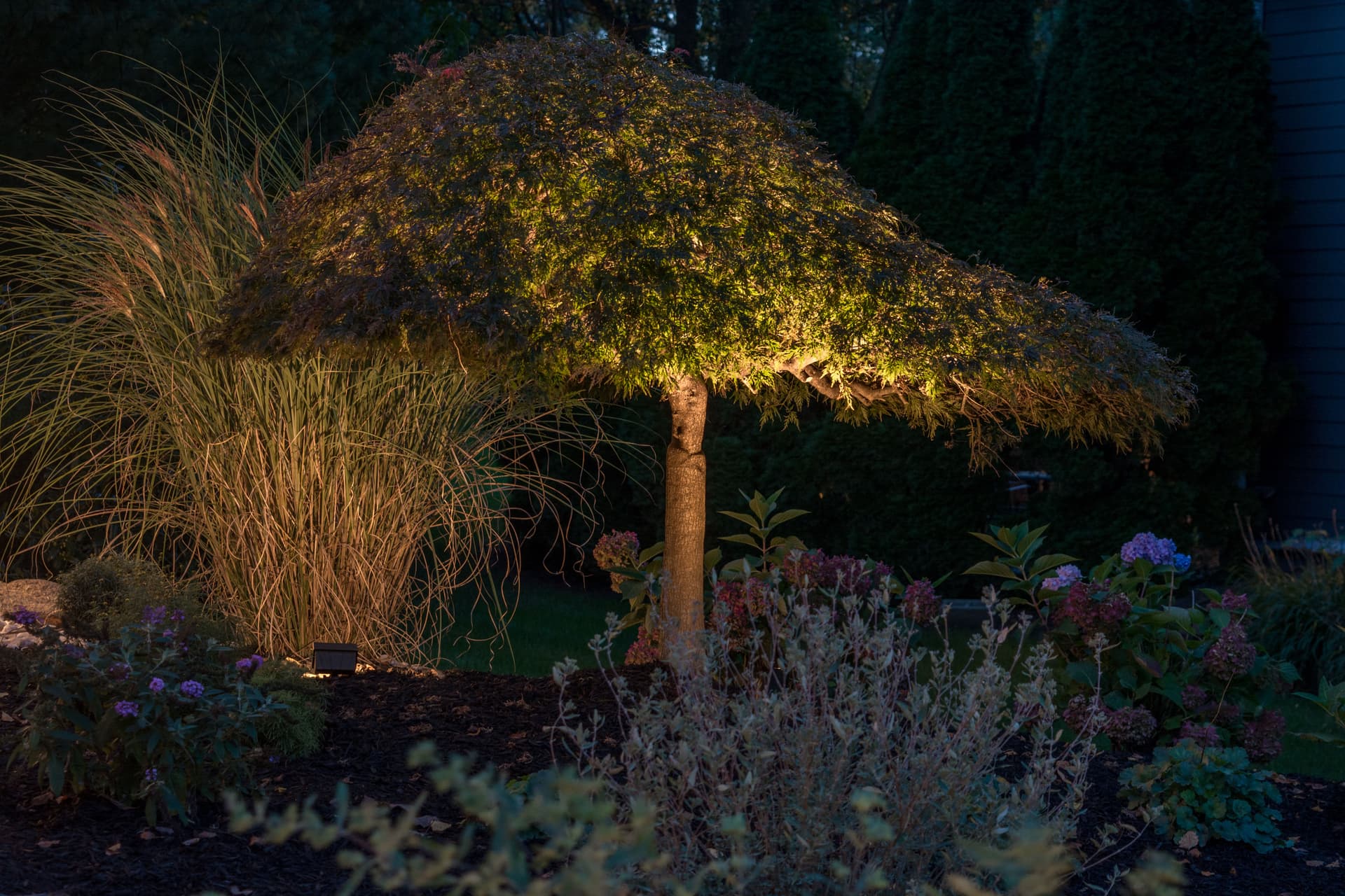 Gallery photos for Landscape Lighting - Bethlehem, PA: Image #3