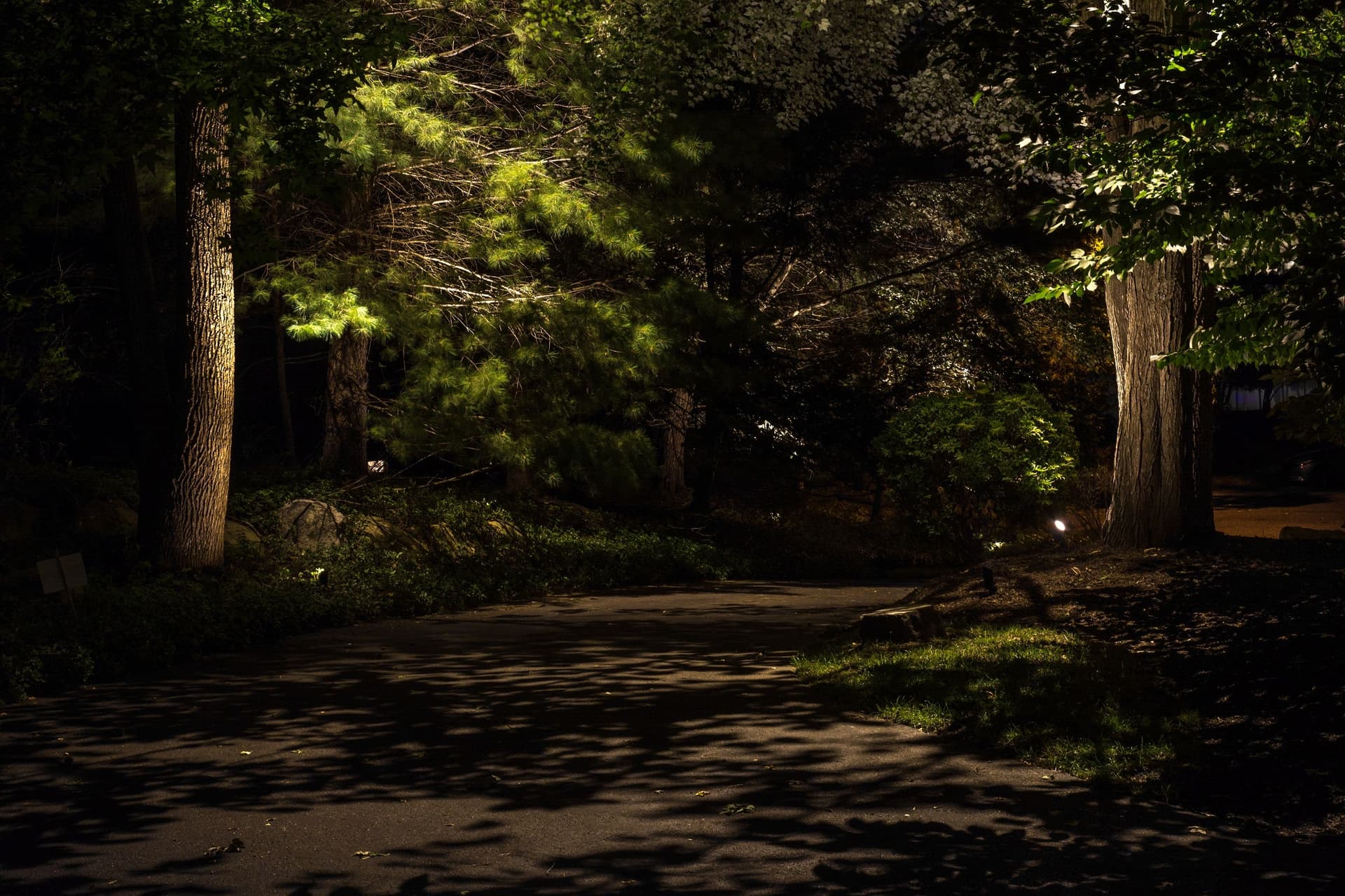 Downlighting & Moon Lighting image