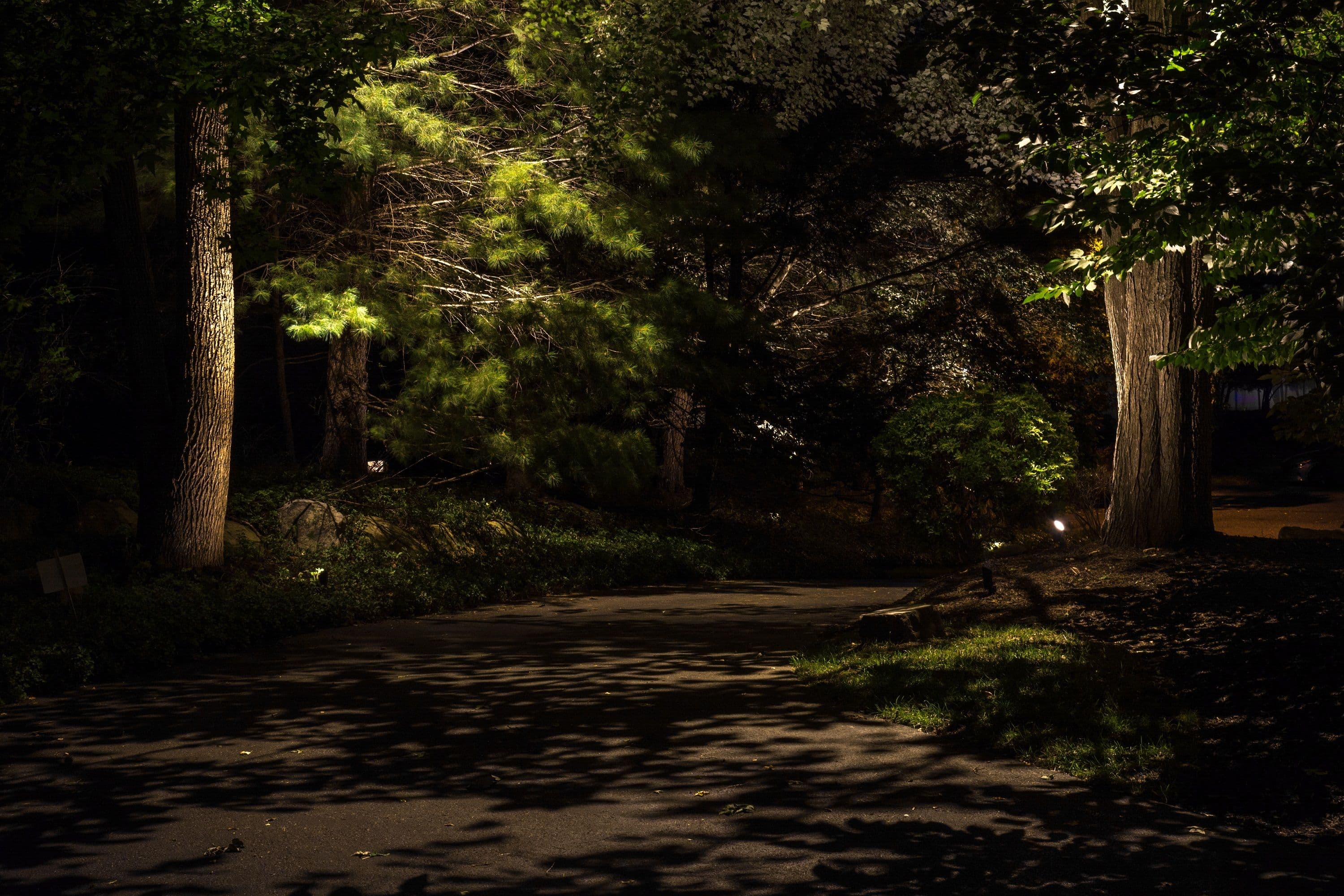 Featured post - Downlighting & Moon Lighting